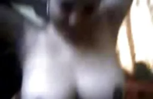 Junge langbeinige Ha ...