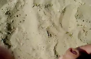 Backroom Casting Cou ...