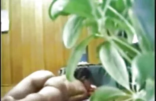 Brachte die Gäste in ...