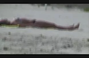 Schwarzhaarige Brust ...