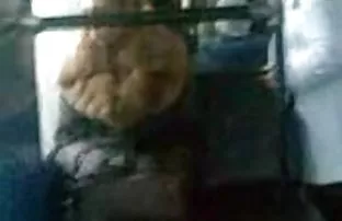 Träumen von Ruhm und ...