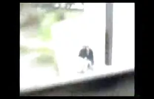 Hochwertige russisch ...