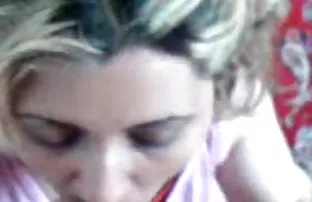 Hündin regelmäßig fr ...