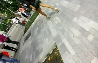 Rosa Muschi und Spie ...