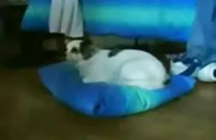 Ehepaar beschlossen, ...