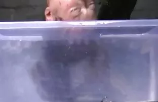 Sitzung heftigen Unt ...