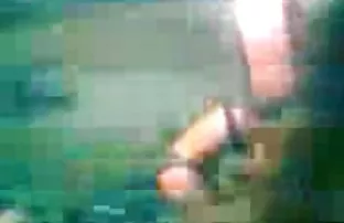 Schwiegersohn Schwie ...