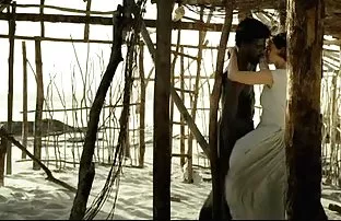 Gebogen Krustentiere ...