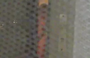 Springt auf den Schw ...