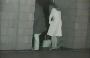 Laila und zwei lüste ...