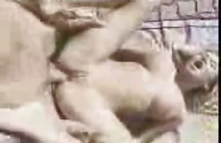 Brünette fängt Kaif